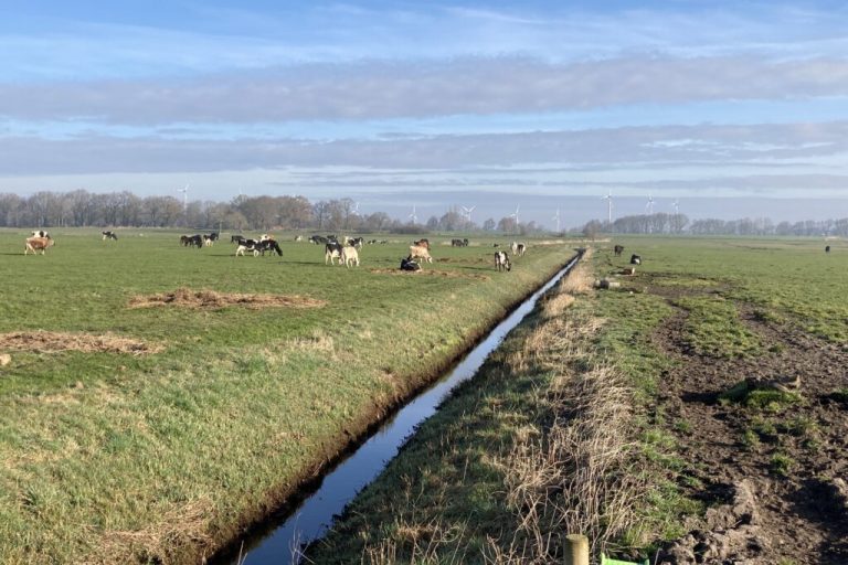 Mittel aus Agrarumweltmaßnahmen nutzen