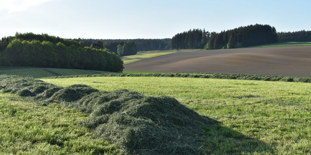 Wildtierverluste bei der Mahd vermeiden