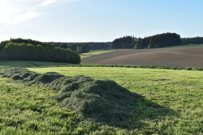 Wildtierverluste bei der Mahd vermeiden