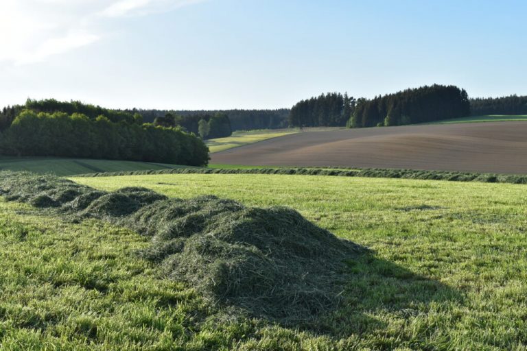 Wildtierverluste bei der Mahd vermeiden