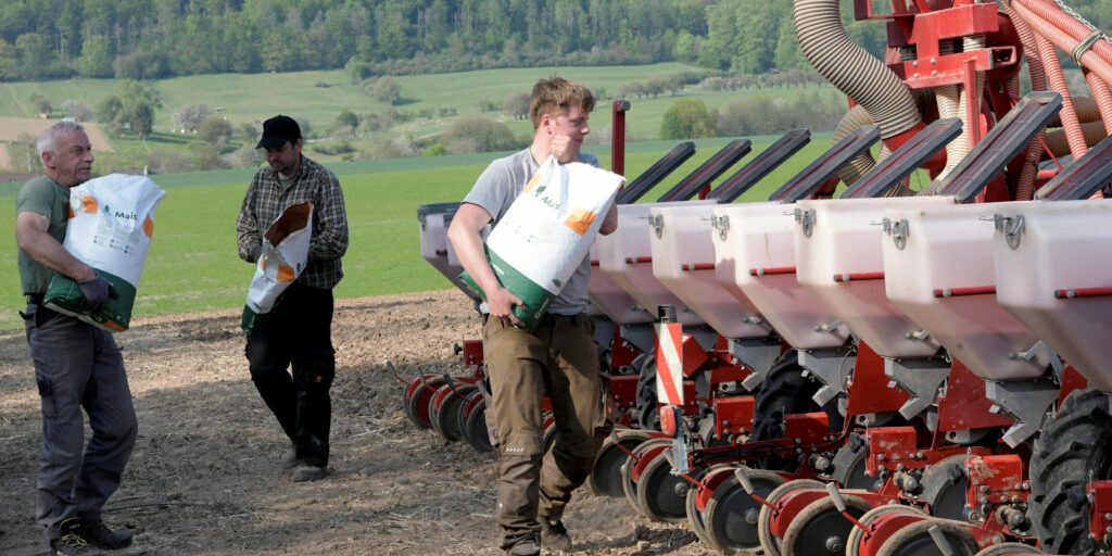 Landwirte säen derzeit eifrig Mais aus