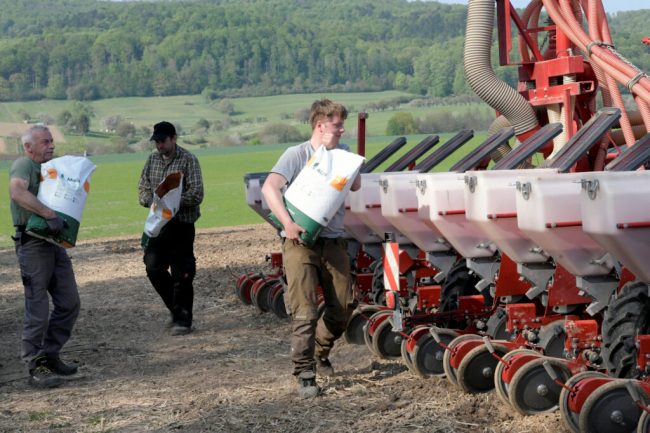 Landwirte säen derzeit eifrig Mais aus