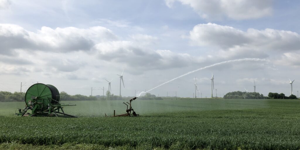 Bewässerung kann Getreideknappheit lindern