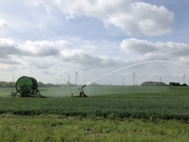 Bewässerung kann Getreideknappheit lindern