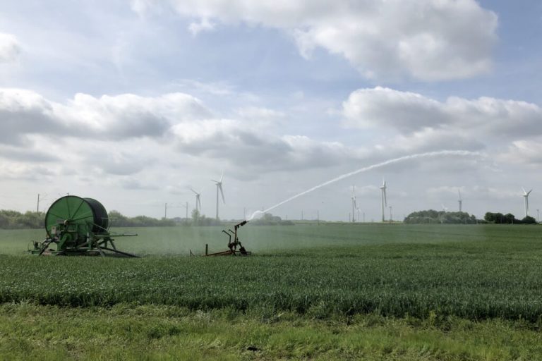 Bewässerung kann Getreideknappheit lindern