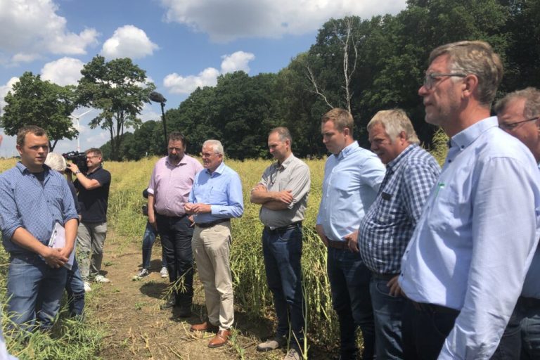 Die Ernte wird regional sehr unterschiedlich ausfallen