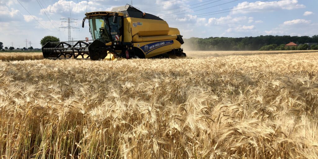 Dürre: Regional massive Mindererträge