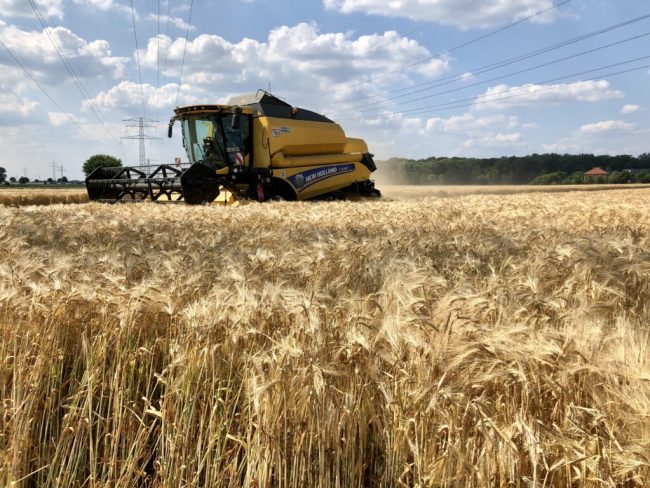 Dürre: Regional massive Mindererträge