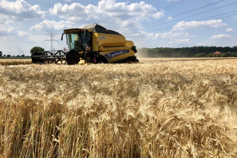 Dürre: Regional massive Mindererträge