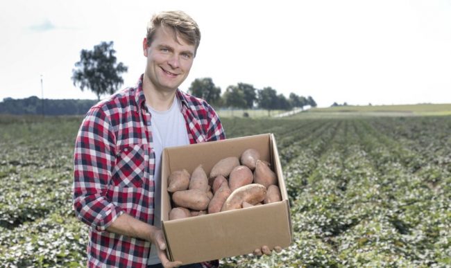 „Die große Vielfalt hat mich gereizt“