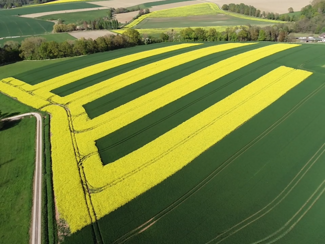 Ackerbau in Streifen-Projekt geht in die nächste Runde