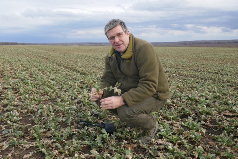 Russland geht viel Know-how im Agrarbereich verloren