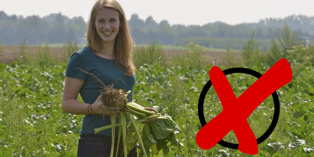 Mit der Politik direkt ins Gespräch kommen