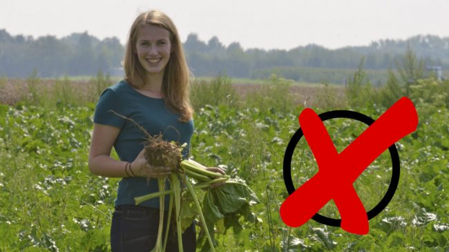 Mit der Politik direkt ins Gespräch kommen