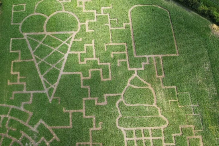 Maislabyrinthe sind Ausflugsziele für die ganze Familie