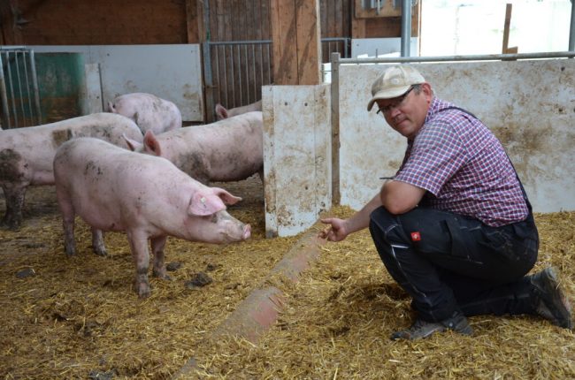Mit viel Augenmerk alle Möglichkeiten ausschöpfen