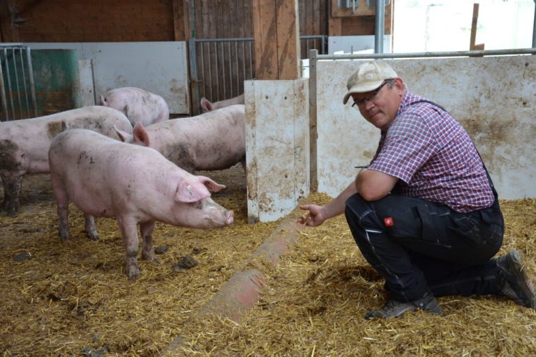 Mit viel Augenmerk alle Möglichkeiten ausschöpfen