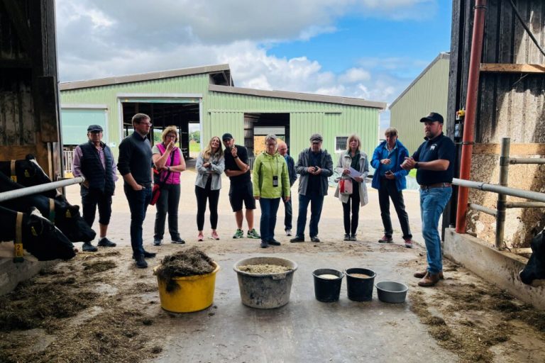 Kurze Wege, große Wirkung: Landwirte öffnen Tore