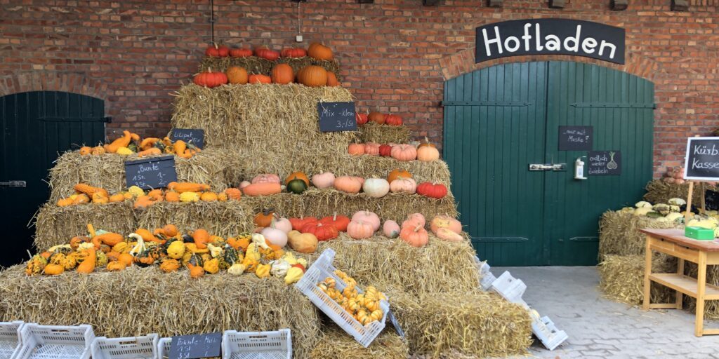 Herbstliches Gemüse für moderne Rezepte