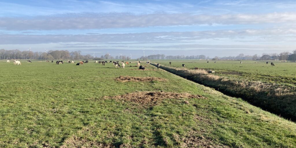 Moorschutz: Weitreichende Folgen für ländlichen Raum