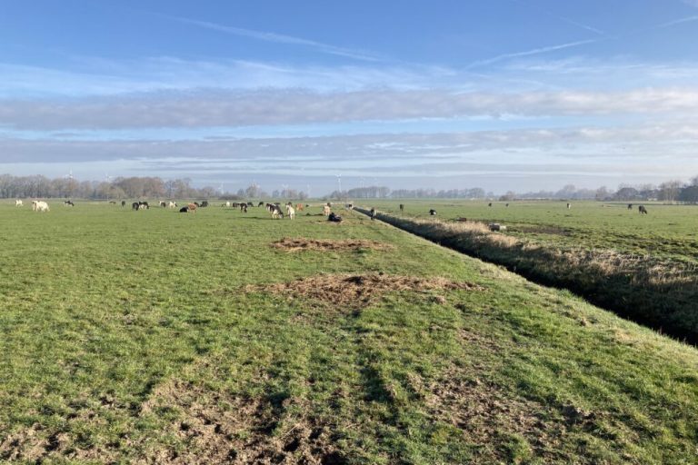 Moorschutz: Weitreichende Folgen für ländlichen Raum