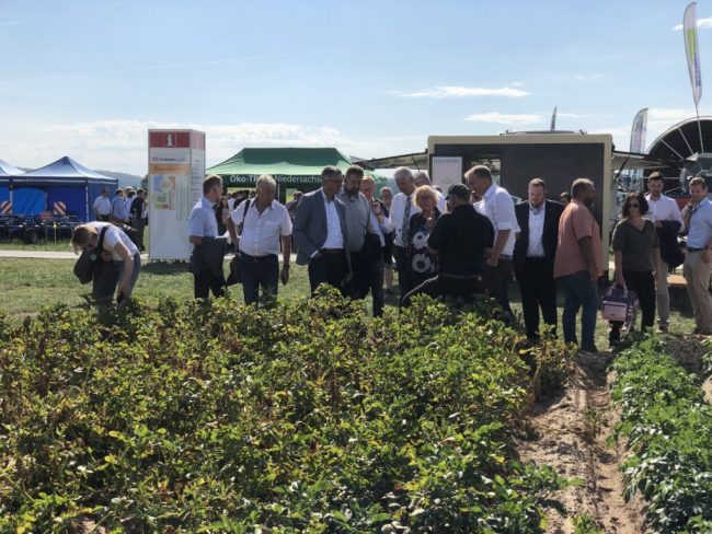 Kartoffeln können die Ernährung weltweit verbessern