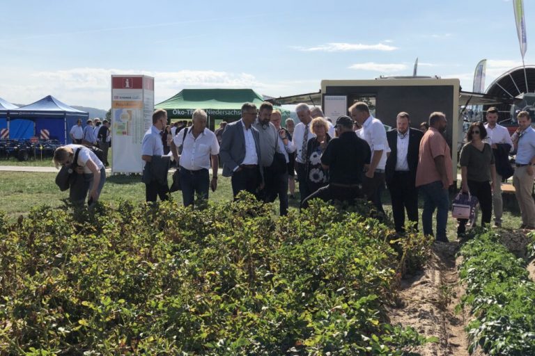 Kartoffeln können die Ernährung weltweit verbessern