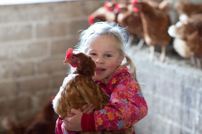Bauernhofferien sind auch im Herbst interessant