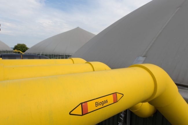Welchen Beitrag kann Biogas in der Krise leisten?
