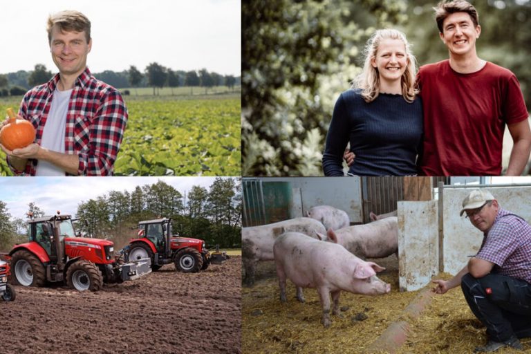 Vier Niedersachsen gewinnen CeresAward-Kategorie
