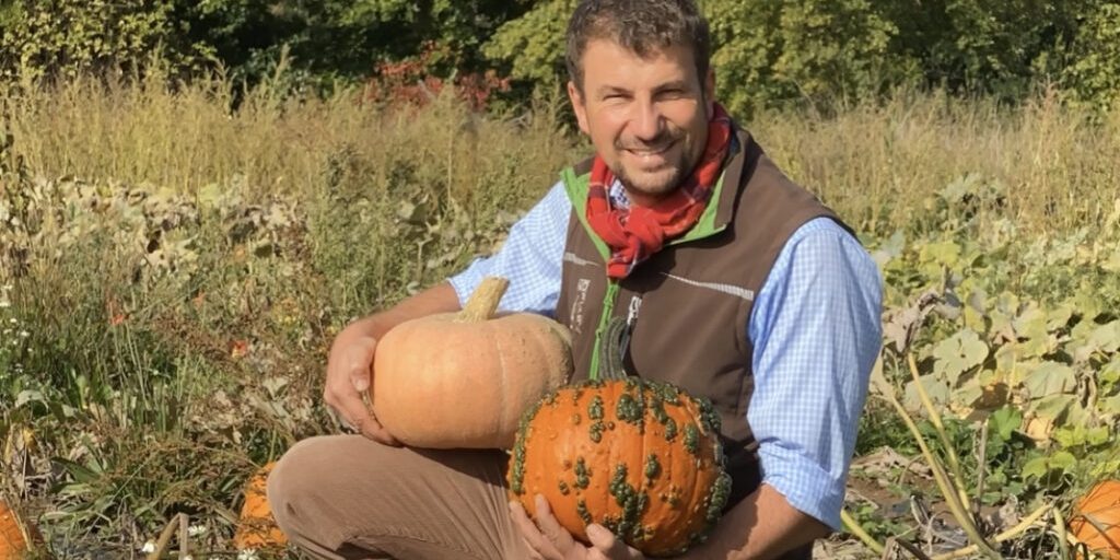 Kleinere, aber super Kürbisse nicht nur für Halloween