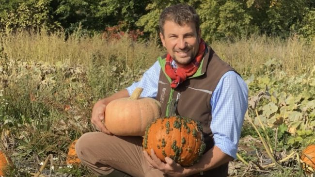 Kleinere, aber super Kürbisse nicht nur für Halloween