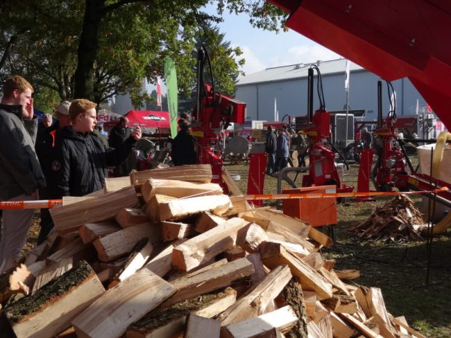 Heizen mit Holz und Landleben sind gefragter denn je