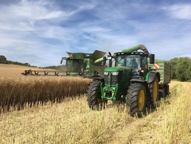 Märkte neu denken – Schock. Wandel. Perspektiven
