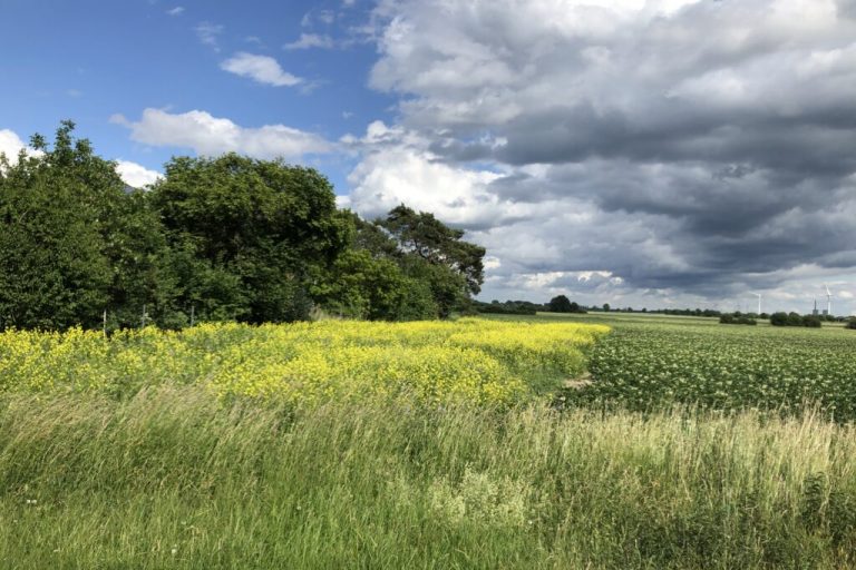Fehlende Finanzmittel gefährden Naturschutz-Engagement