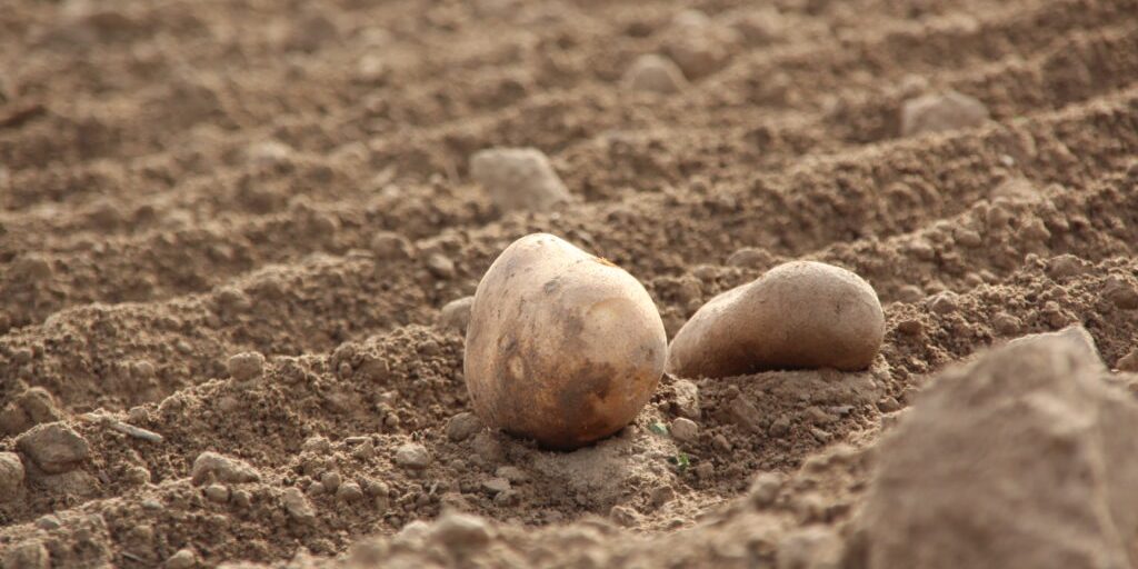 Sechstes Bio-Fachforum richtet den Blick auf Lösungen