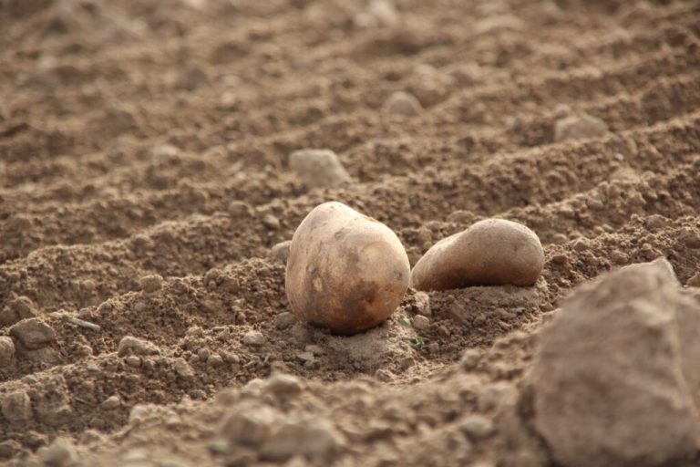 Sechstes Bio-Fachforum richtet den Blick auf Lösungen