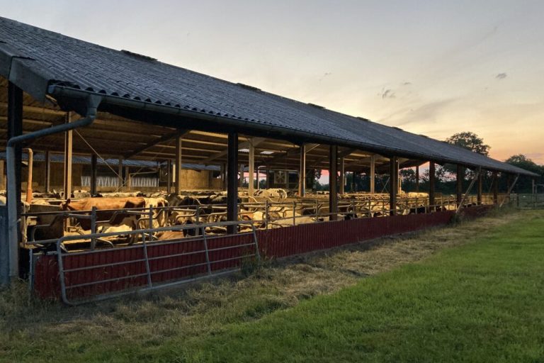 Wie lässt sich Energie sparen in der Landwirtschaft?