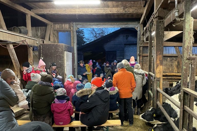 Geschichten aus dem Stroh Bühring