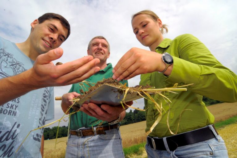 Agrarstudium ist digitaler und praxisnäher geworden