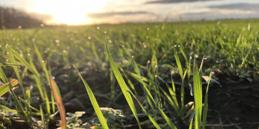 Regen und Schnellfall reichen noch lange nicht