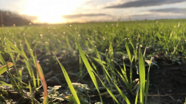 Regen und Schnellfall reichen noch lange nicht