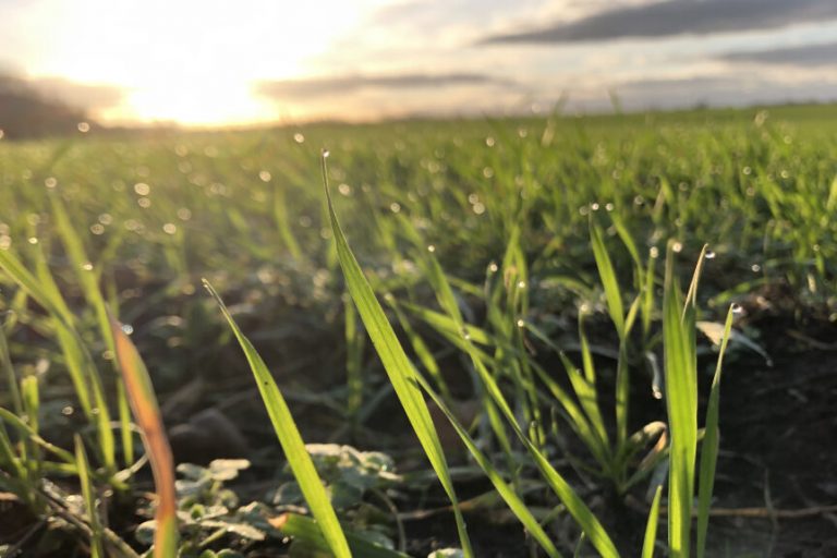 Regen und Schnellfall reichen noch lange nicht