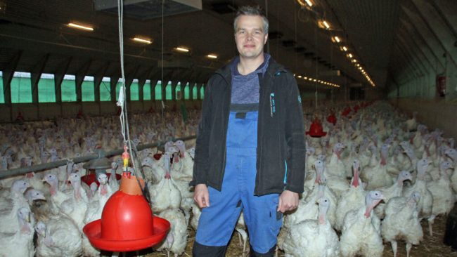 Kommt Putenfleisch bald nur noch aus dem Ausland?