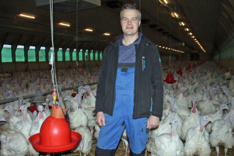 Kommt Putenfleisch bald nur noch aus dem Ausland?