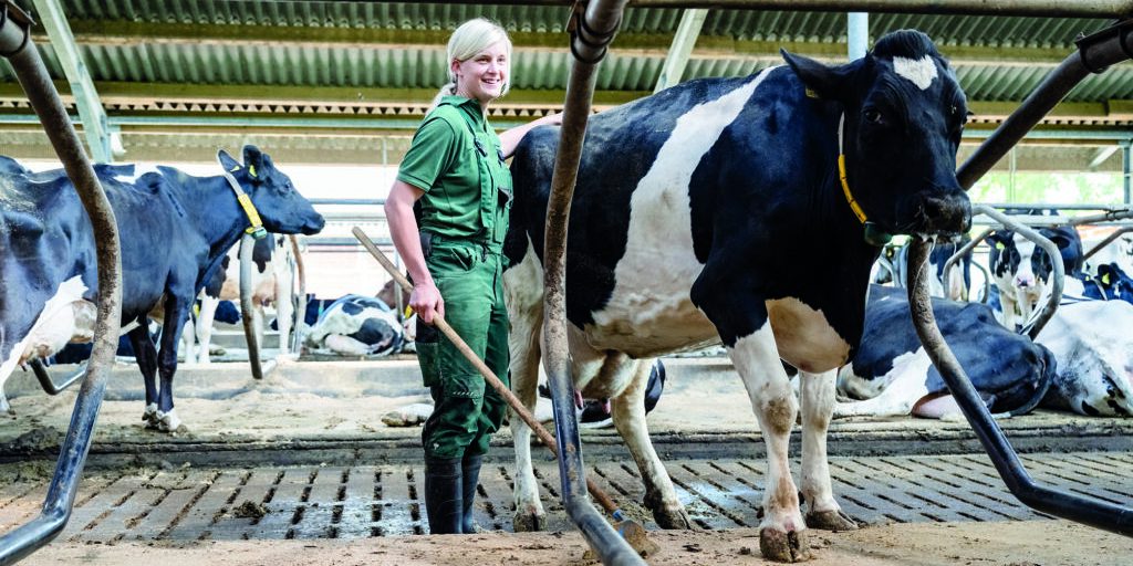 Stallfenster bieten „Einsichten in die Tierhaltung“