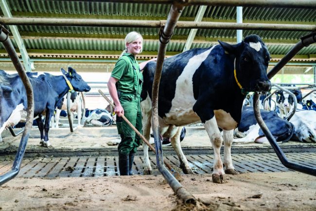 Stallfenster bieten „Einsichten in die Tierhaltung“