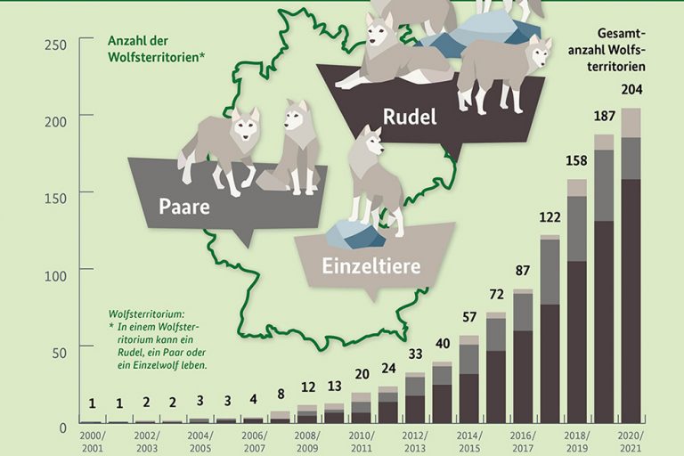 Tannen: Werden mit dem Problem Wolf allein gelassen