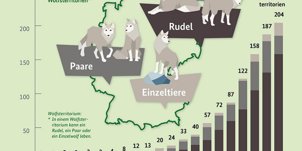 Tannen: Werden mit dem Problem Wolf allein gelassen