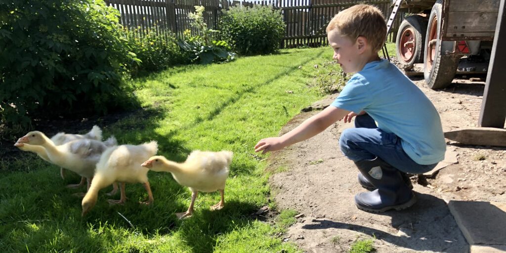 „Landwirtschaft für kleine Hände“ startet wieder